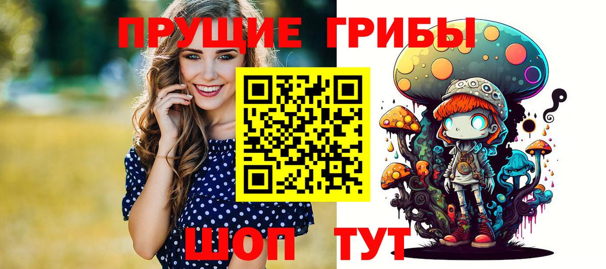 Заводоуковск  Галлюциногенные грибы Cubensis  Вход с VPN 